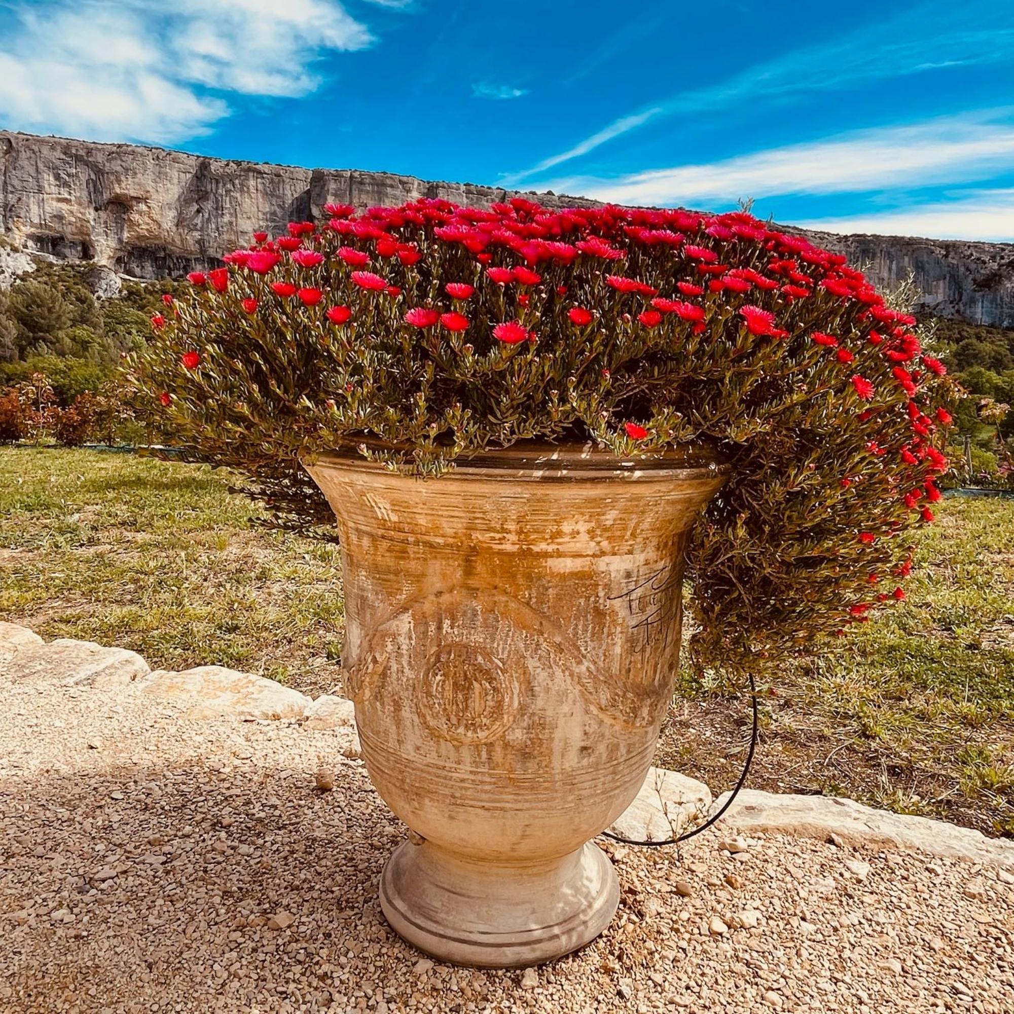 La Madeleine Du Luberon. * Lioux